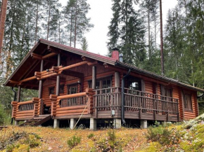 Villa Saimaa Vuoriniemi